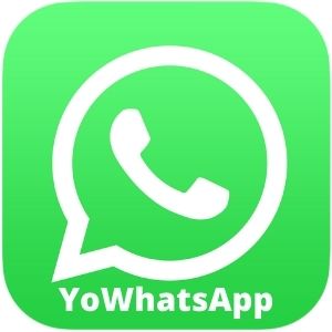 Yo Whatsapp mod Version